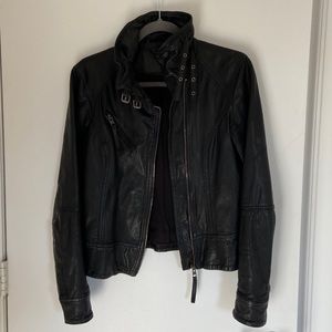 Belvedere Lather Jacket